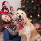 2-Pack Christmas Dog Collar & Bowtie Set – Classic Red & Green Plaid